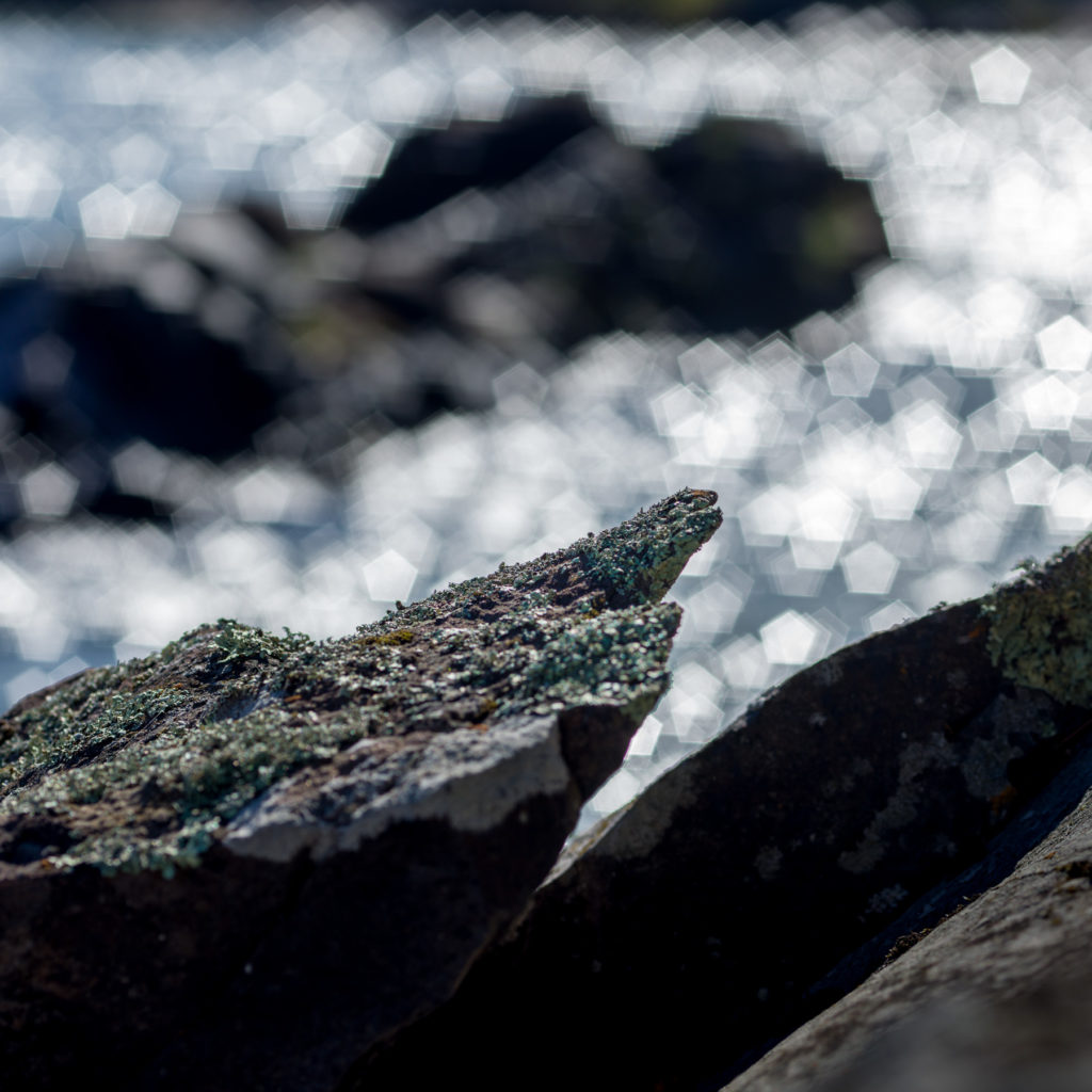 Lake Superior Shoreline, 2016 - Photograph by Jeff Curto